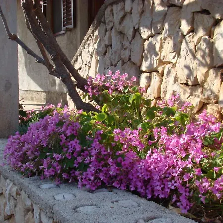 Διαμέρισμα Puzak